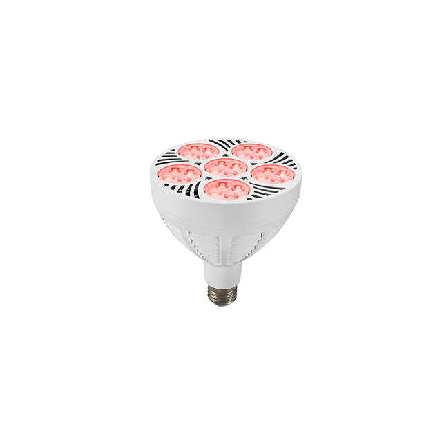 Par38 grow light