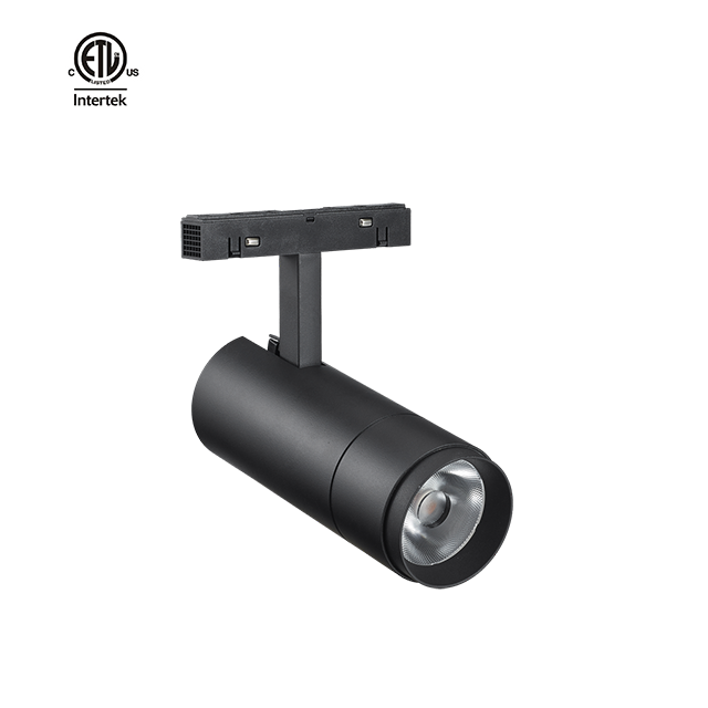 Family ETL Magnetic Track Light