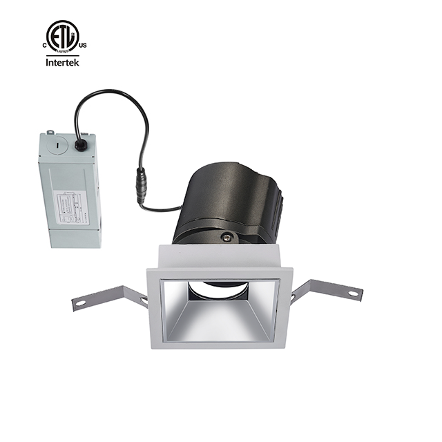 Less Twins 2*20W 2*30W