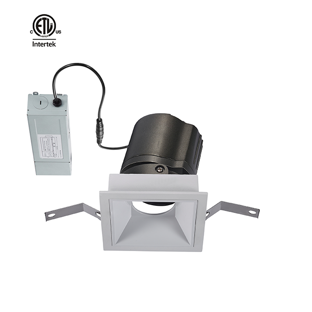 Less Twins 2*20W 2*30W