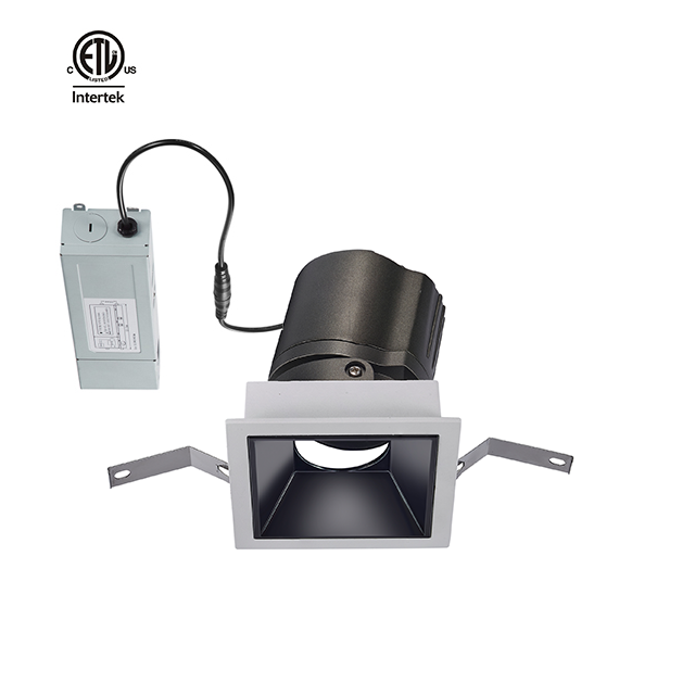 Less Twins 2*20W 2*30W