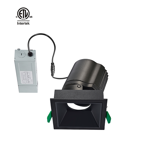 Less Twins 2*20W 2*30W