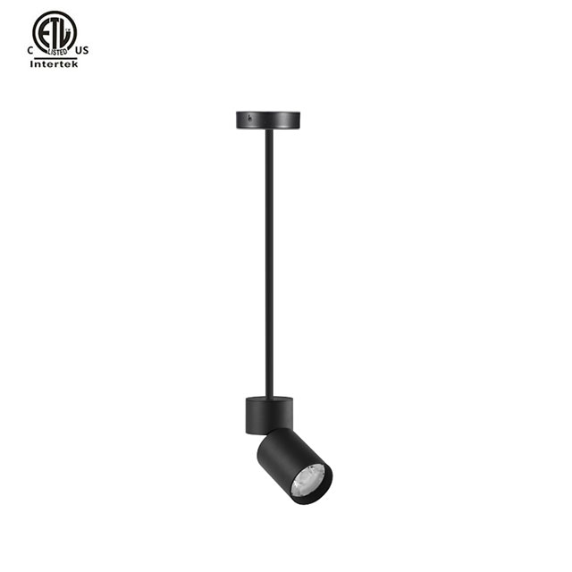 Master Stem Pendant ETL Black