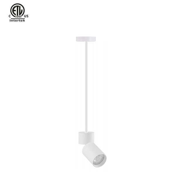 Master Stem Pendant ETL White