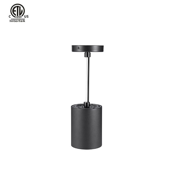 Master D IP65 ETL Pendant White+Black