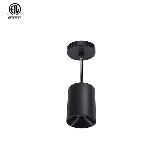 Master D IP65 ETL Pendant Black+Black