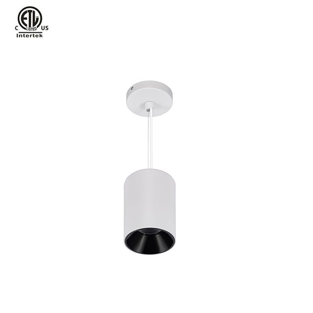 Master D IP65 ETL Pendant White+White