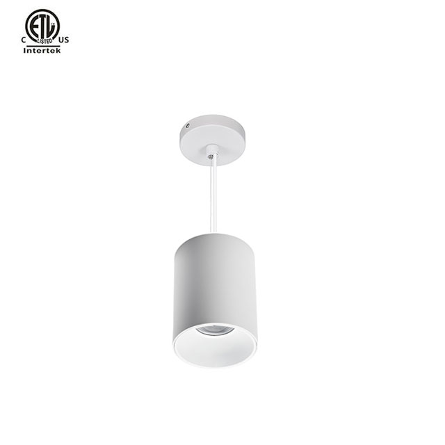 Master D IP65 ETL Pendant White+Black