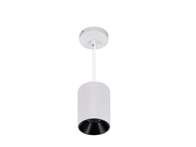 Master D IP65 ETL Pendant White+Black