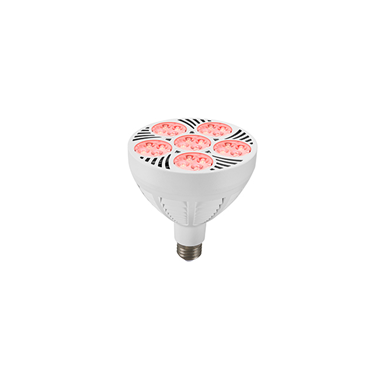 Par38 grow light