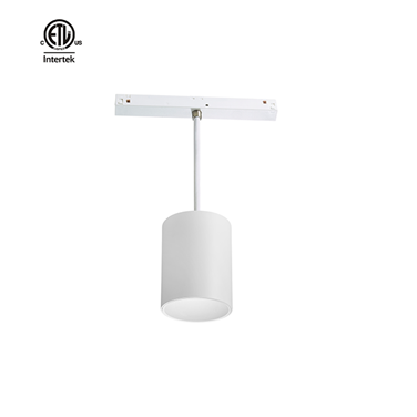 Master B ETL Magnetic Pendant Light