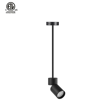 Master Stem Pendant ETL Black