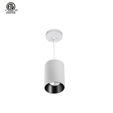 Master B Round ETL Pendant White+Black