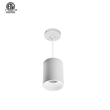 Master D IP65 ETL Pendant White+White