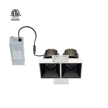 Less Twins 2*10W Frameless