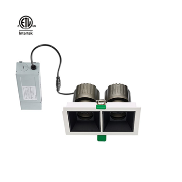 Less Twins 2*10W